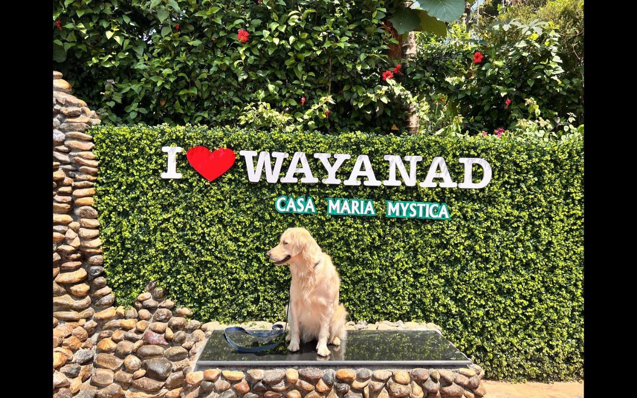 Casa Maria Mystica Apartments, Mananthavady, Wayanad ภายนอก รูปภาพ
